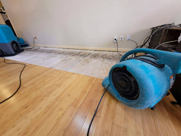 Professional Ceiling Water Damage Repair technician working in Mount Vernon, KY